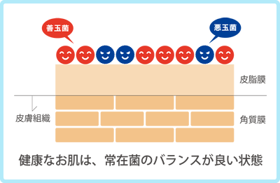 健康的なお肌は、常在菌のバランスが良い状態