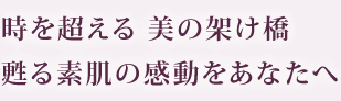 時を超える 美の架け橋 甦る素肌の感動をあなたへ