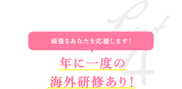 頑張るあなたを応援します！ 年に一度の海外研修あり！